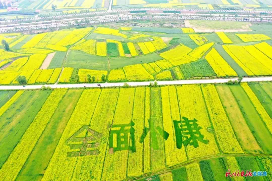 甘肃省：2020年临夏州农业农村工作总结，沃野千里涌春潮！