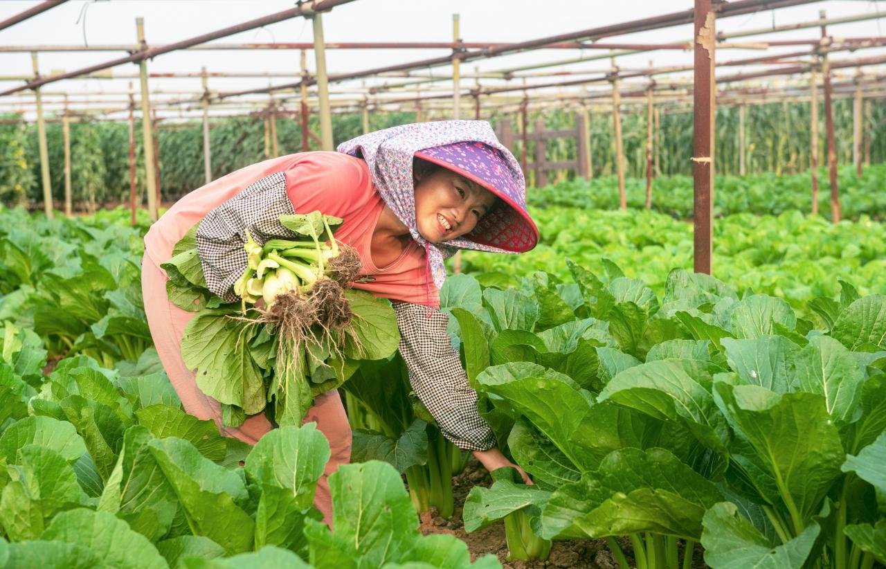 广州农业的乡村振兴特色路：科技硬实力+农旅软文化+多产业融合