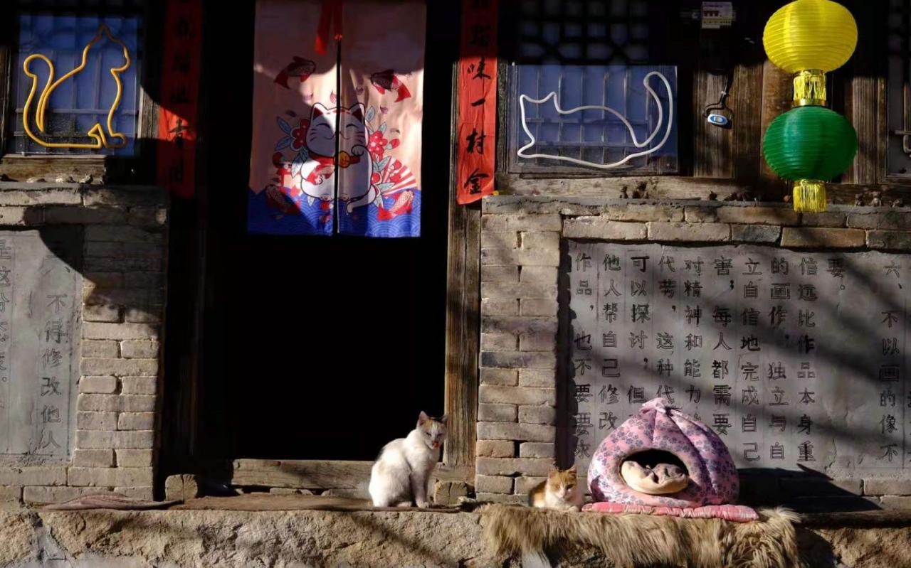 猫猫冲｜要被云南的地名萌化了-中国国家地理景观-中国国家地理景观-哔哩哔哩视频