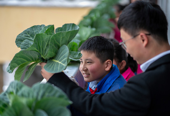 校园里的植物工厂与屋顶农场，学生们热衷的研学观察与劳动体验！