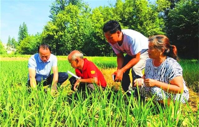 山东推开新型职业农民职称评定制度，厦门持续实施新型职业农民培育工程