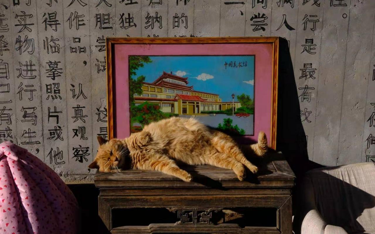 文化调适视角下的民族乡村旅游发展- - -以贵州猫猫河苗寨为例__凤凰网