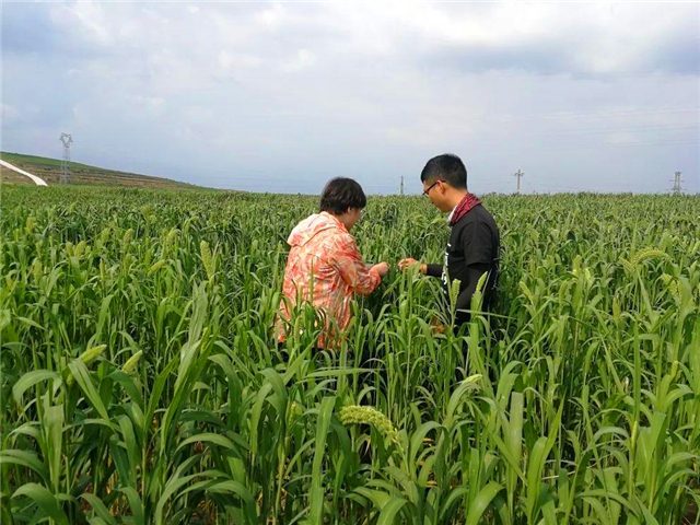 山东推开新型职业农民职称评定制度，厦门持续实施新型职业农民培育工程