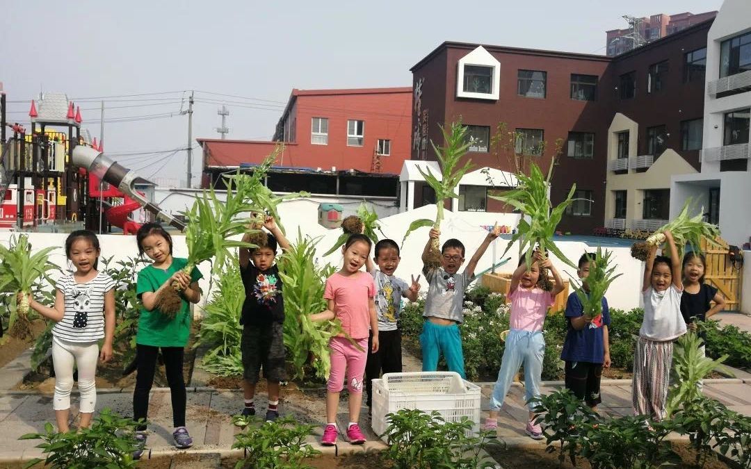 幼儿园开辟农耕教育小菜园，农场是劳动教育的最佳场所