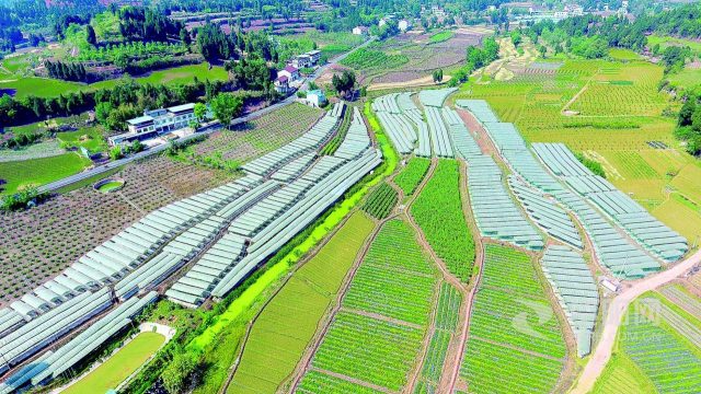 山东省：公示首批省级现代农业产业园名单，积极争取金融支持