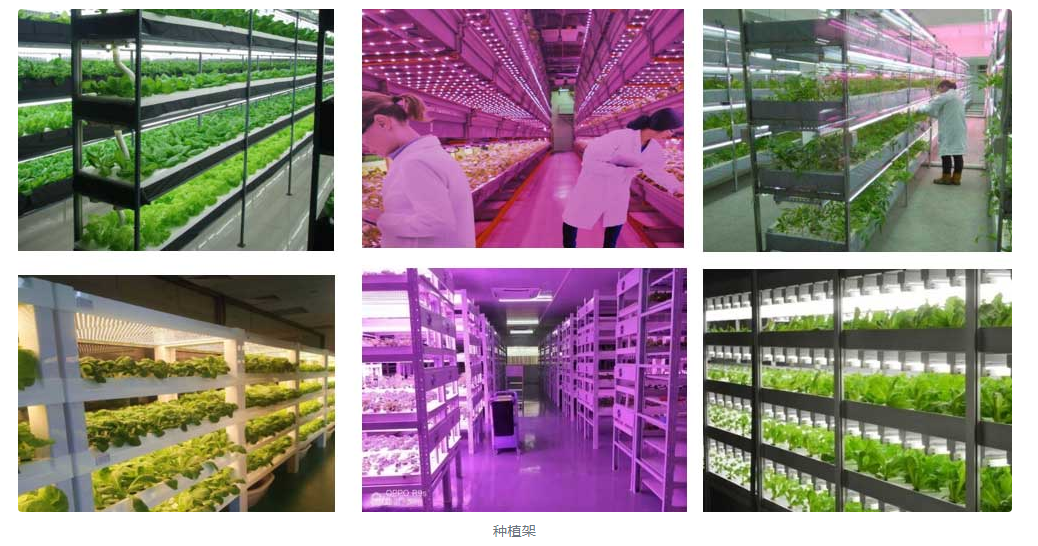 现代农业智能温室种植系统方案：9个组成部分，10大控制要素