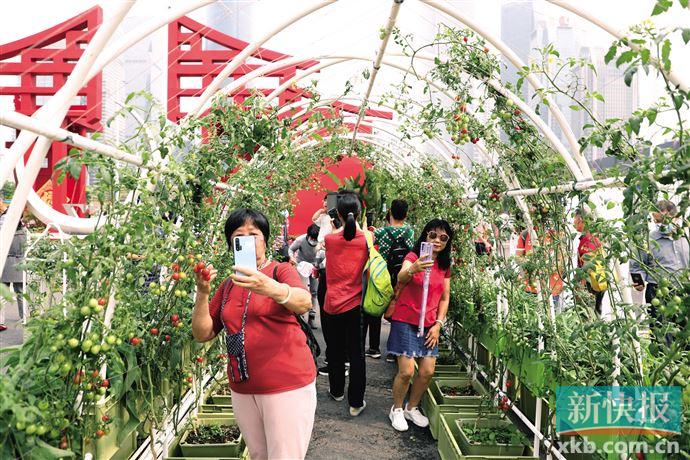 广州全市推进“城市小菜园”工程，启动仪式吸引大量市民观摩
