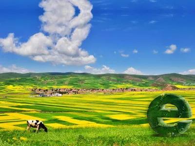 2021年武汉涉农招商引资活动启动，武汉各区推出这些农业优惠政策