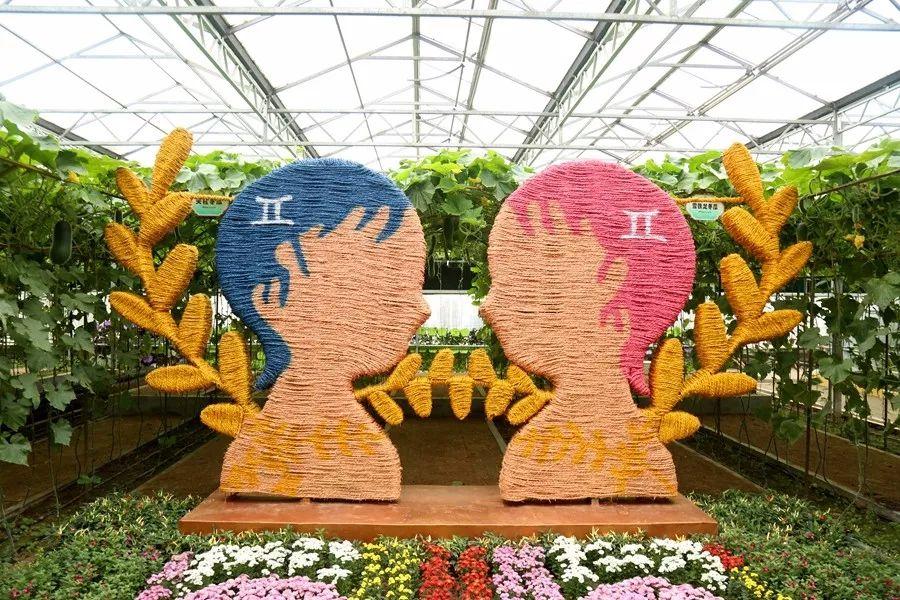 寿光市：第22届蔬菜科技博览会展开幕，饱览19届菜博会的蔬菜创意景观