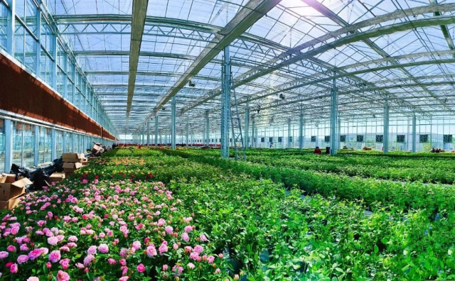 陕西拟创13个省级现代农业产业园，邳州炒货电商产业园投入运营