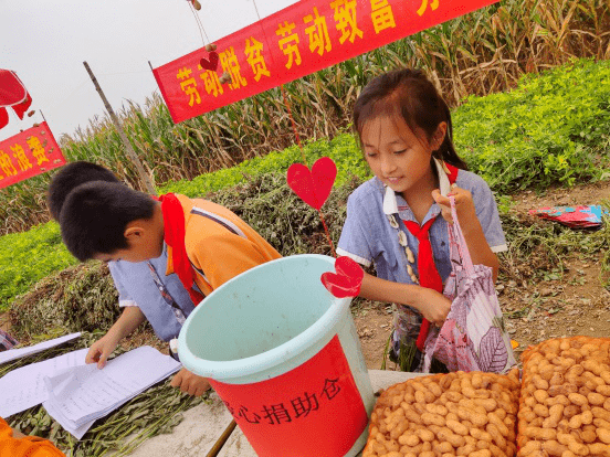 庄稼地里的农耕文化丰收节：山东某小学的校外农耕实践活动