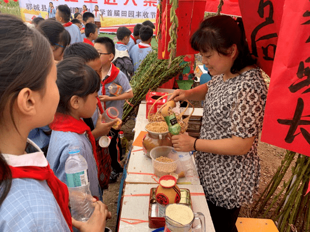 庄稼地里的农耕文化丰收节：山东某小学的校外农耕实践活动