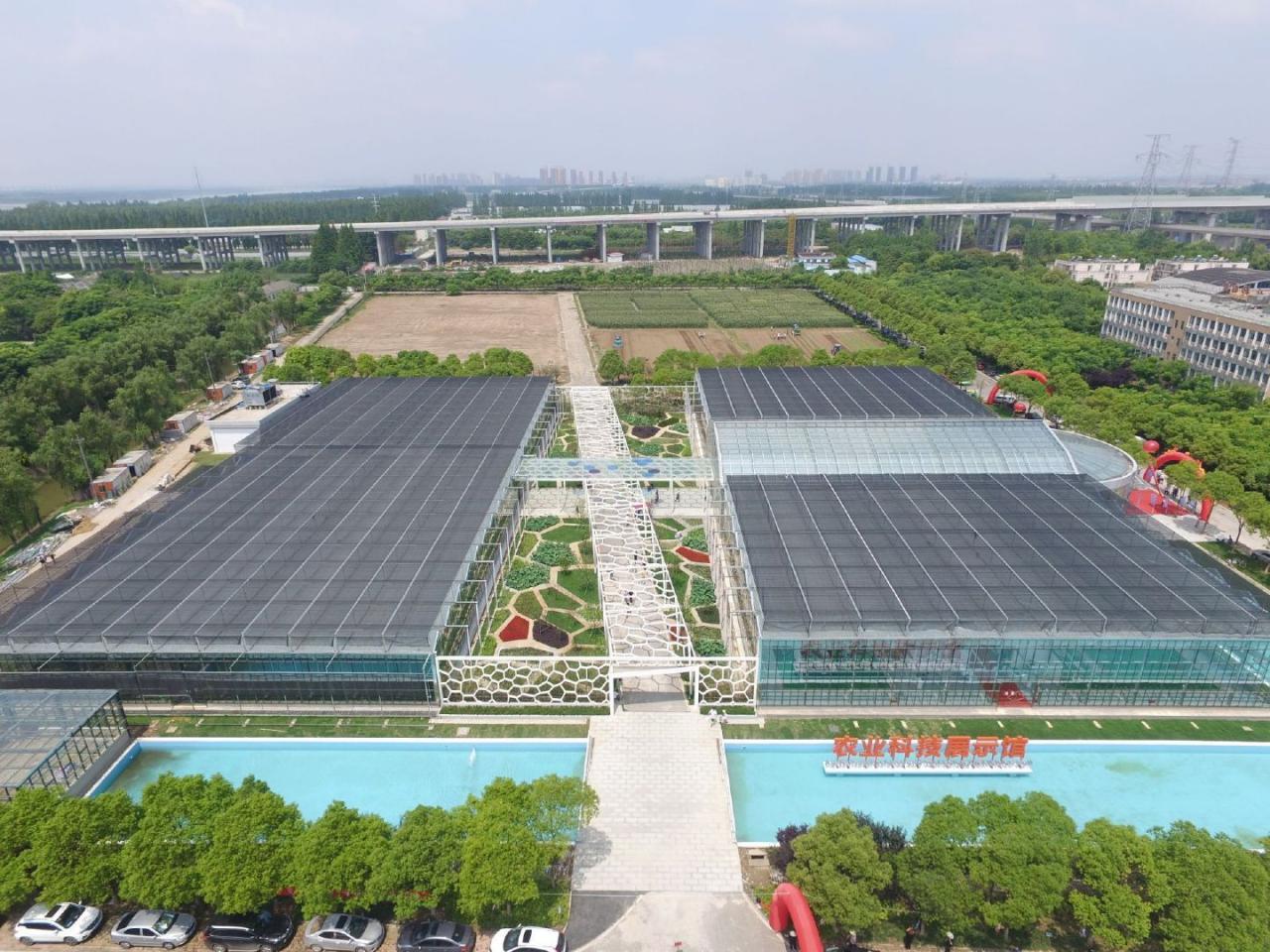 武汉种博会：大豆新品种1500万成交，6项农业新品种成果“卖”了1650万