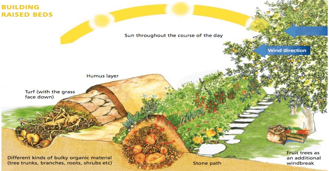 研学课程： 德国自然农法“土丘种植床”，模仿自然培育深厚的肥沃土壤 