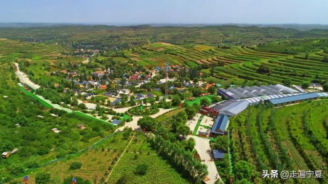 河北雄安新区农业产业结构调整专项规划（2021-2025年）发布