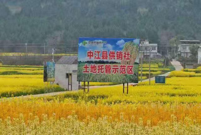中国农业大学教授：2020年1号文件提出乡村产业用地政策是巨大突破
