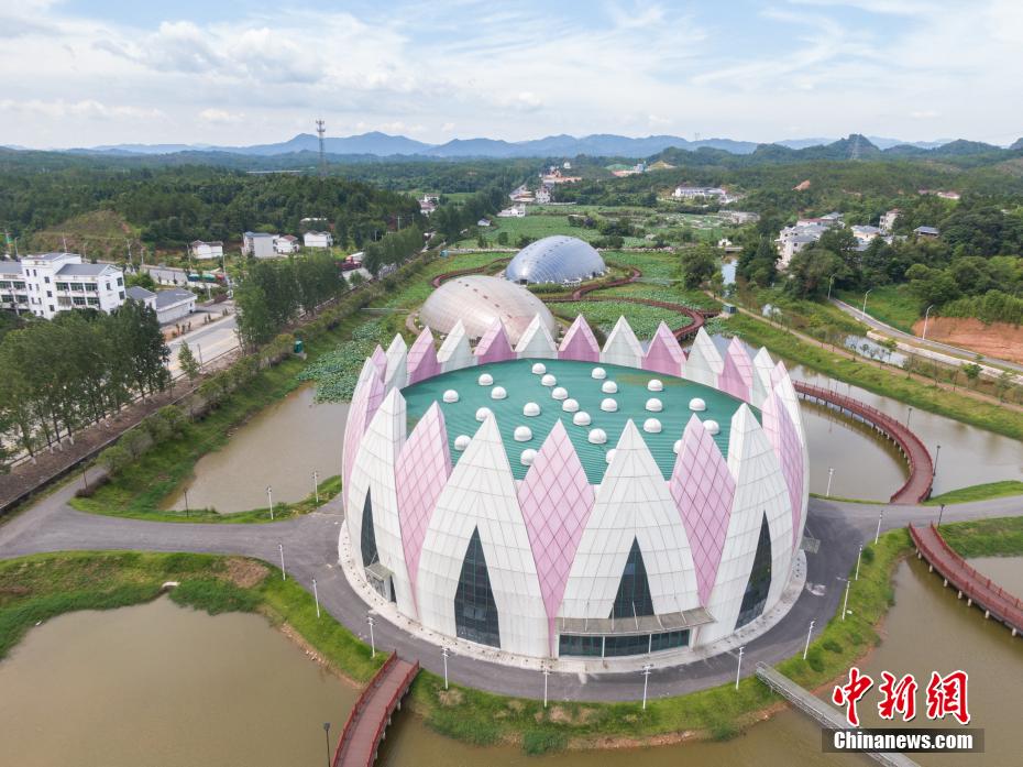 航拍图：江西广昌现代农业产业园,七座莲花状异形大棚造型