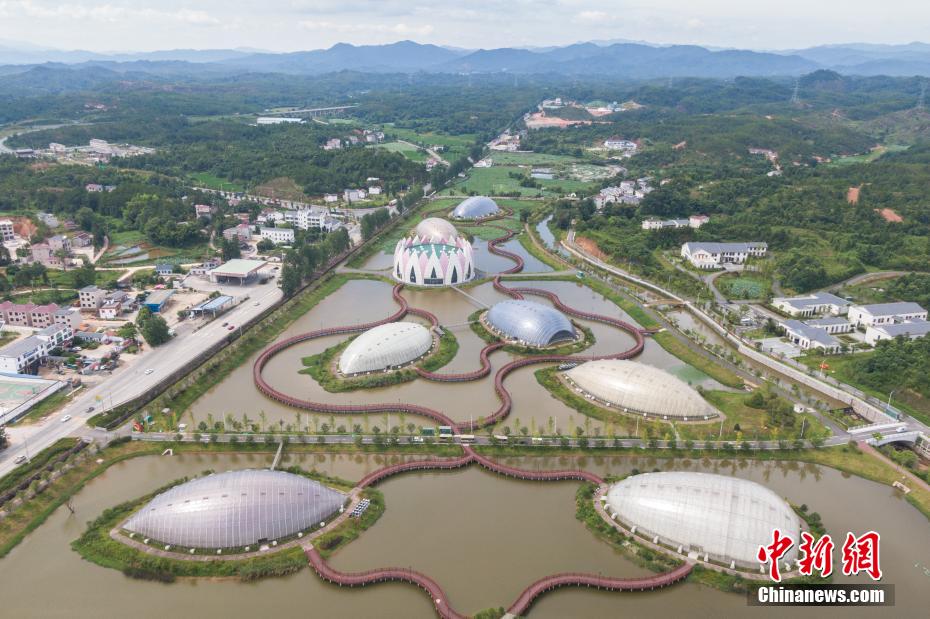 航拍图：江西广昌现代农业产业园,七座莲花状异形大棚造型