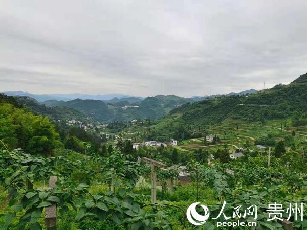 贵州：聚焦现代农业三大体系，推进农业农村改革，加快构建山地农业产业体系