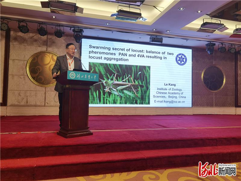 农业科技协同创新：湖南“100+N”与京津冀协同体系
