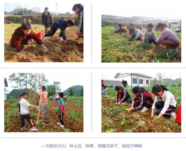 劳动实践案例：如何将农耕文化融入中小学劳动教育课程？