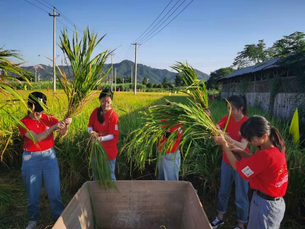 大学生劳动实践教育实践：利用农业农村资源，和当地农民一起流汗