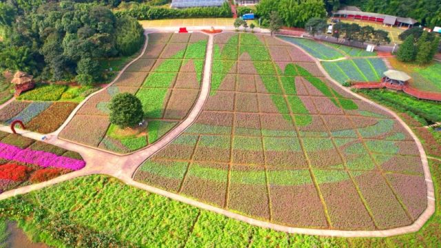 共享农场案例:广州某共享私家庄园项目规划