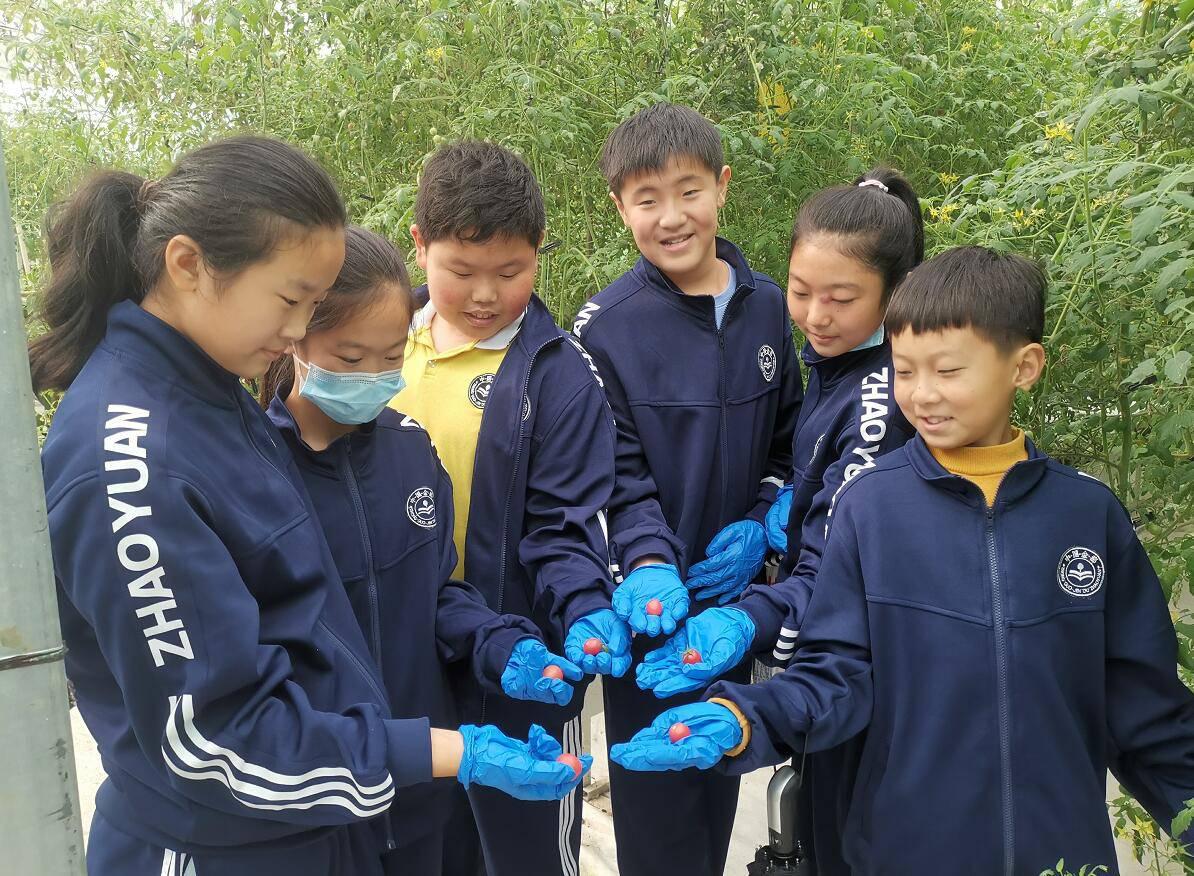 徐州10家中小学素质教育劳动实践基地开营，正式投入使用