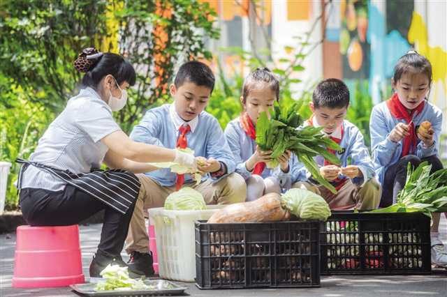 案例：中小学校园蔬菜种植基地简介特色及管理制度