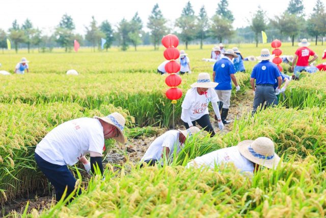 安徽成功举办第2届农耕健身大赛，重庆秀山举办农特产品电商大赛