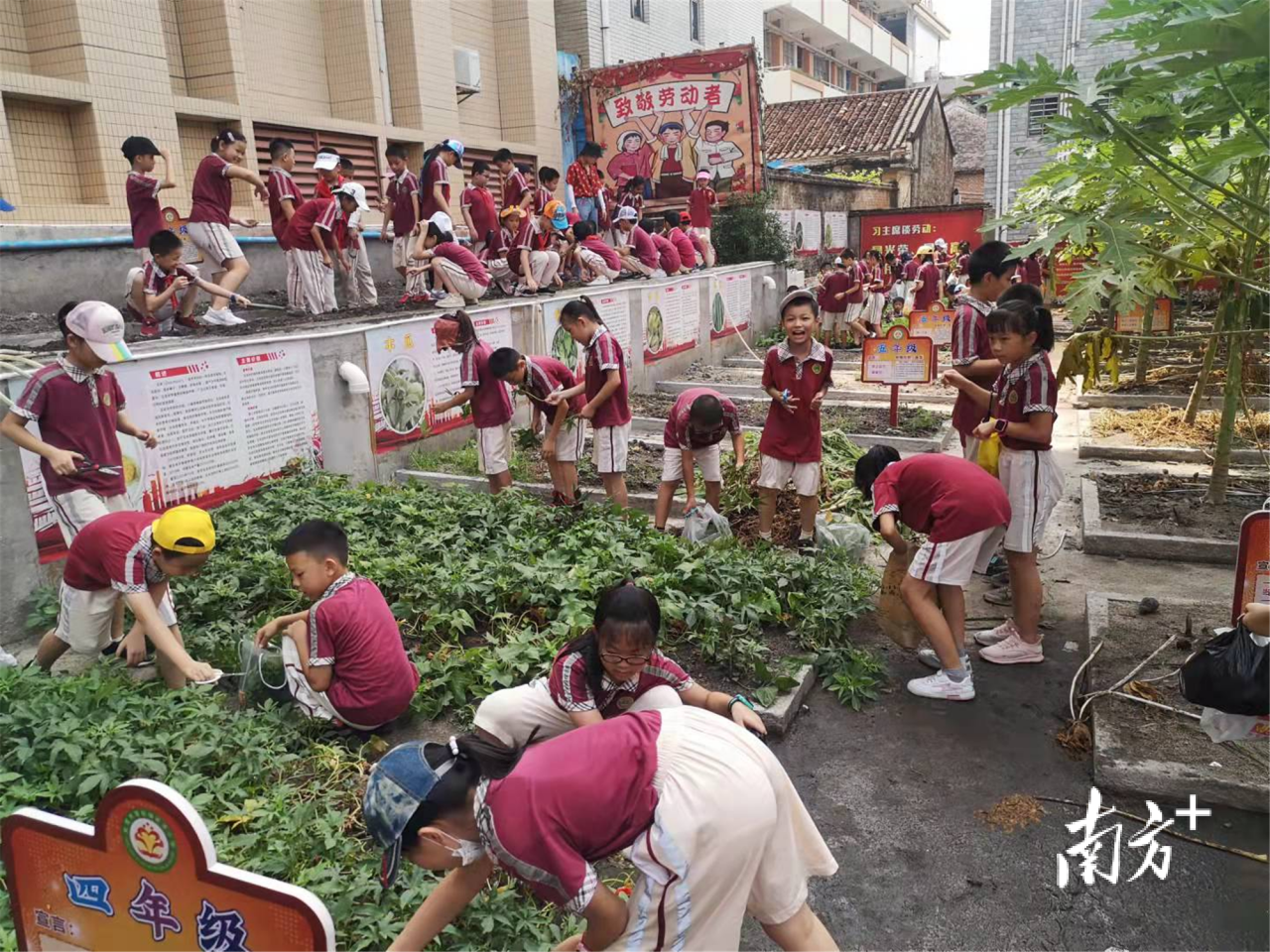 双减时代之下，广东东莞中小学劳动教育燃起6大亮点！