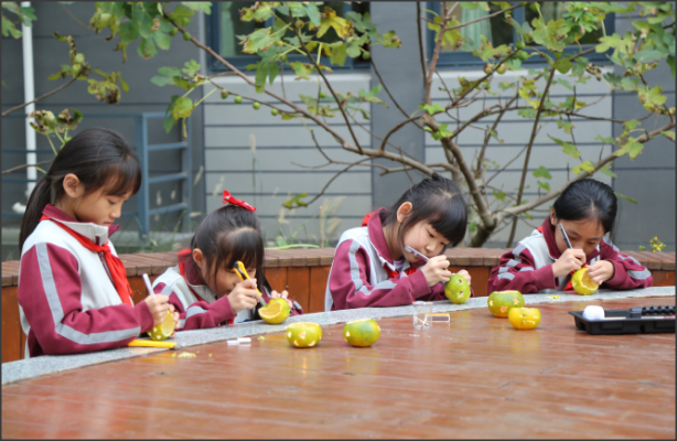 农场,果园,花园,小厨,集市...上海这所小学的特色劳动实践园地收获满满！