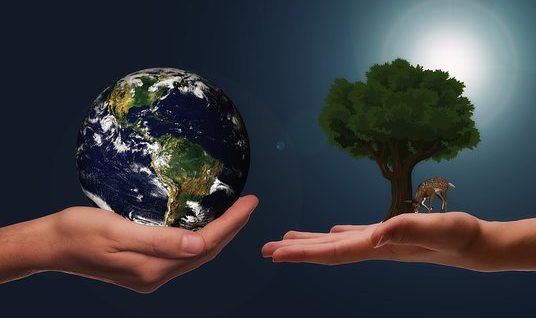 手, 地球, 下一代, 气候保护, 空间, 宇宙, 责任, 伦理, 自然保护区