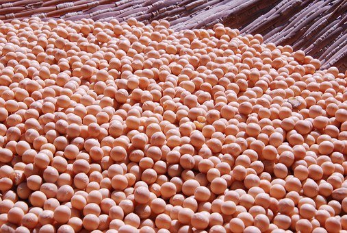 中国大豆对外依存度高，国际局势大动荡下，大豆扩种提产行动箭在弦上