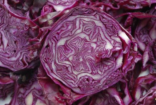 蔬菜种业博览会上的新品种:紫色白菜,1尺长辣椒,生吃的冬瓜…