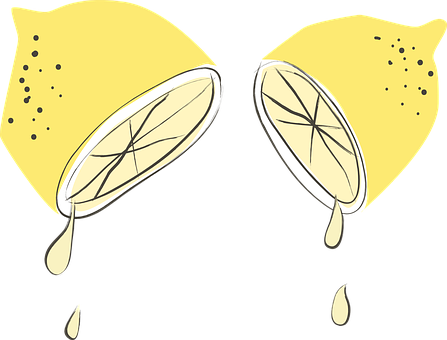 国际柠檬节11月8日在重庆潼南开幕，首届南方花木交易会在广西桂林举办