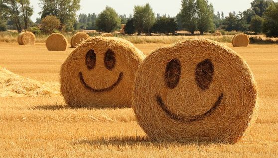 稻草, Halmballe, 农业, 收成, 夏天, 高兴的, 笑脸, 黄色