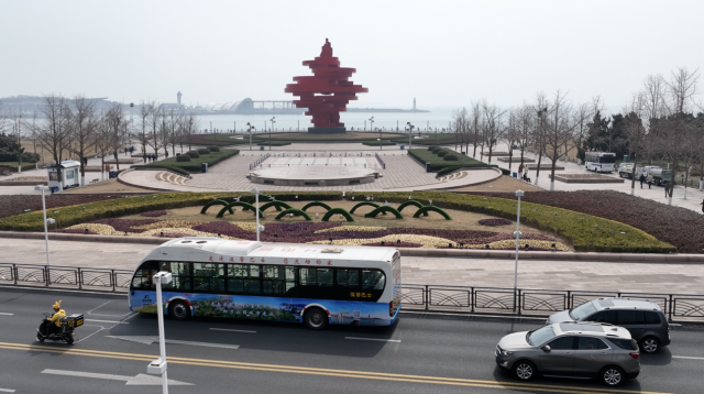 广东青少年发起“青年林”植树活动，青岛推出沉浸式绿色科普主题观光车