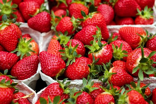 中国草莓之都+设施草莓第一县：种植面积达21万亩，实现高密度无土种植