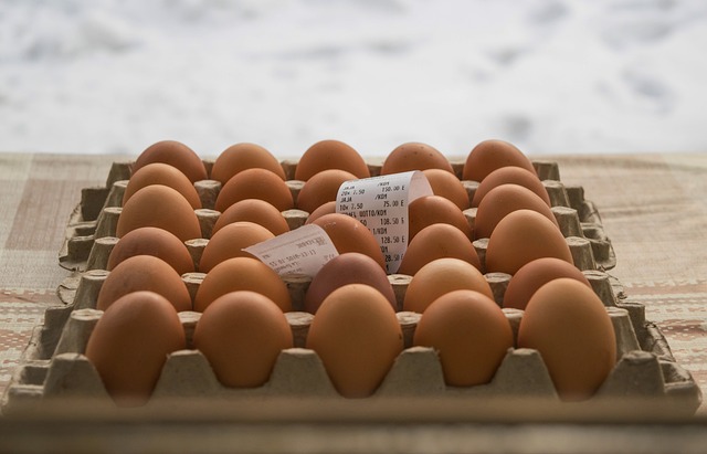 智能化蛋鸡养殖场案例：仅需1人即可管护4万只鸡，效率翻10余倍