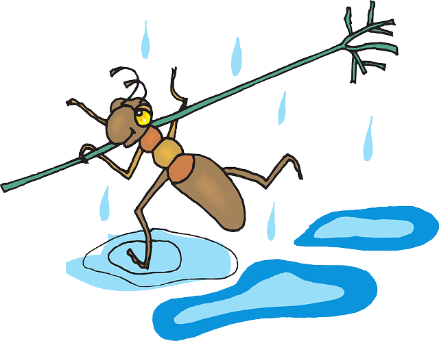 《有趣的蚂蚁触角》幼儿园小班自然科学课程教案,含改进建议